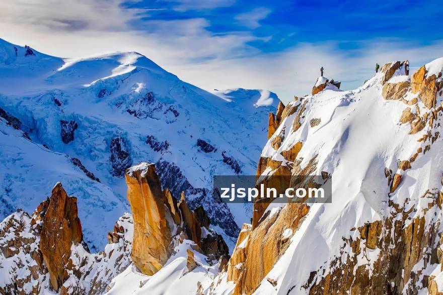 完美真人 从荷官手势读懂牌局节奏：一位资深发牌员的桌台观察笔记